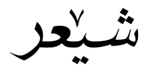 Read more about the article شێعری «تۆ»